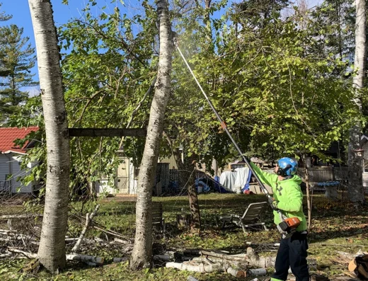 Five Star Tree Services 2