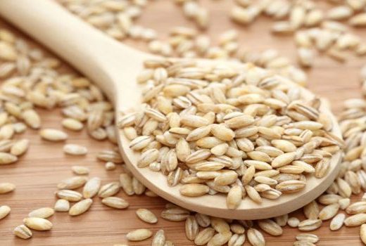 AdasCan Grain Corporation