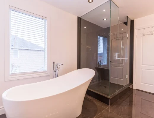 Home Renovation Plus Bathroom Design Stand Shower Tub